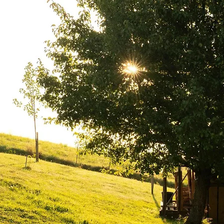 Houten 